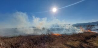 Пожар на голяма площ се разрази днес в близост до завод „Химик“