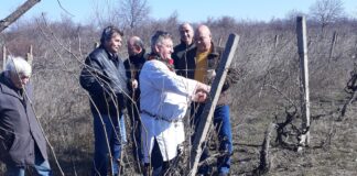 Зарязаха лозята край асеновградското село Избеглии