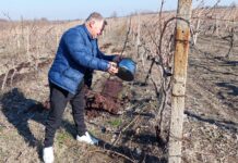 Трифон Зарезан в с. Златовръх