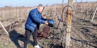 Трифон Зарезан в с. Златовръх