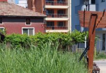 За избуяла растителност в периферните квартали на Асеновград алармират граждани