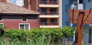 За избуяла растителност в периферните квартали на Асеновград алармират граждани