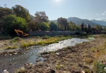 Започна разчистването на растителността в р. Чая