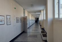 Към 11 ч.: 7% избирателна активност в Пловдивско, близо 9% в община Асеновград