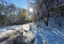 Без снежна покривка, но със заледявания във високите части в Асеновградско