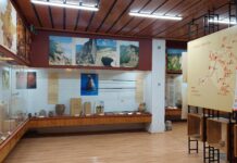 Реставрират сградата и обновяват витрините на Историческия музей за близо 90 хил.лв.