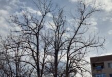 Жълт код за силни ветрове е обявен днес и утре за Пловдивска област