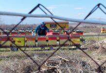 Серия от кражби в частни имоти край с. Златовръх