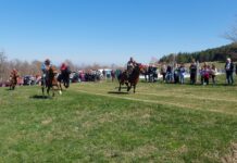 Кушии на Тодоровден край с. Долнослав