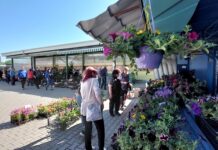 Пазарът в Асеновград се обагри в цветове