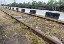 Растителнозащитни дейности край релсите