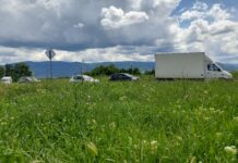 След дъждовното време, растителността избуява – ще се почисти ли пътя между Асеновград и Пловдив