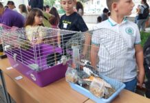 Зооизложба „Аз и моят най-добър приятел“ представиха за поредна година в ОУ „Отец Паисий“