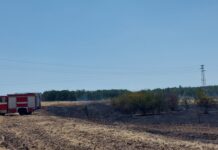 Сухи треви горяха днес край с. Златовръх