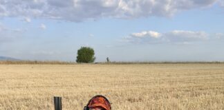 Днес се открива новият ловен сезон