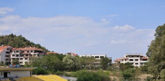 Днес се играят първите срещи от турнира за Купа „Краси Костов“