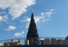 Поставиха коледната елха в Асеновград