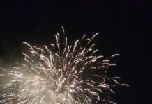 С песни и танци, светна Коледната елха в Асеновград