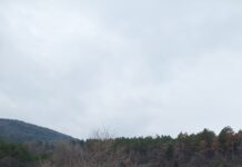 Започна изграждането на новия път до Мулдавския манастир