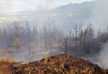 Задържаха 30-годишен за пожара в землището на село Горнослав