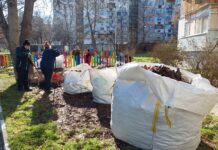 Започна зимната поддръжка на зелените площи в Асеновград