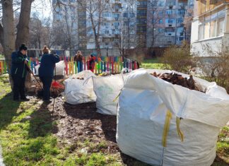 Започна зимната поддръжка на зелените площи в Асеновград