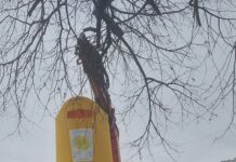 Стартира подмяната на старите жълти контейнери в Асеновград с нови