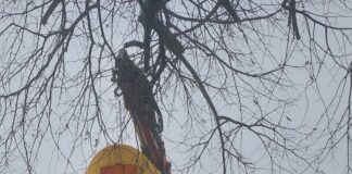 Стартира подмяната на старите жълти контейнери в Асеновград с нови