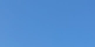 Щъркелите започнаха да пристигат в Асеновградско