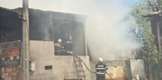 7 екипа пожарникари гасиха пожар в село Боянци