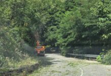 Тече кастрене и косене на избуяла растителност в общинската пътна мрежа