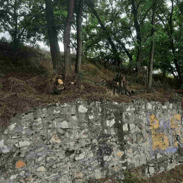 203222158_226295685764178_4814404846456511016_n