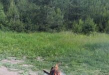 Древни тракийски ритуали на Белинташ по повод Еньовден