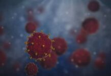 2 нови случая на COVID-19 в Асеновград