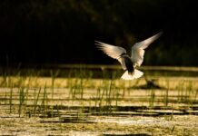 Международен фотоконкурс за ученици