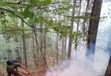 Kметът на Нареченски бани: Пожарът към момента не застрашава селата Югово и Нареченски бани