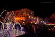 Коледната елха на асеновградчани ще грейне тази седмица