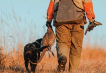 Утре стартира ловният сезон 2025-2026