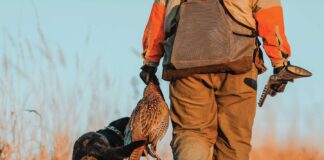 Утре стартира ловният сезон 2025-2026