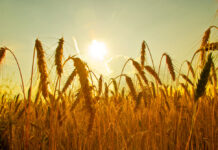 Започват горещниците – 15, 16 и 17 юли