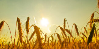 Започват горещниците – 15, 16 и 17 юли