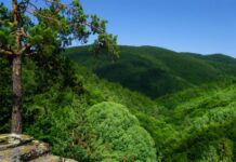 Поход и 17-километров маратон организират в Куклен по повод празника на общината