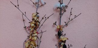 Днес е Сурва – не забравяйте да приготвите сурвачките