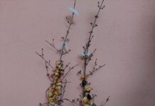 Добре дошла, 2024 година! Православната църква отбелязва на първи януари Васильовден и Обрезание Господне