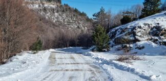 25 см. снежна покривка в най-високите части в Асеновградско