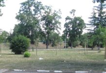 Избрано е място за изграждане на кучешка площадка в Асеновград