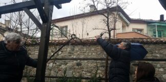 Зарязаха лозите в Етнографска къща на Асеновград