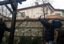 Ритуално зарязват лозата в Етнографската къща в Асеновград