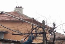 Под дъжда посрещнаха днес Трифон Зарезан в село Избеглии