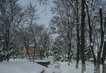 Позакъснялата зима не успя да изненада Куклен